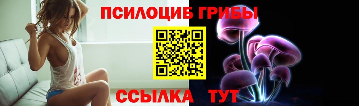 Галлюциногенные грибы Cubensis  Вход с VPN  Псилоцибиновые грибы ЛСД  Городец 